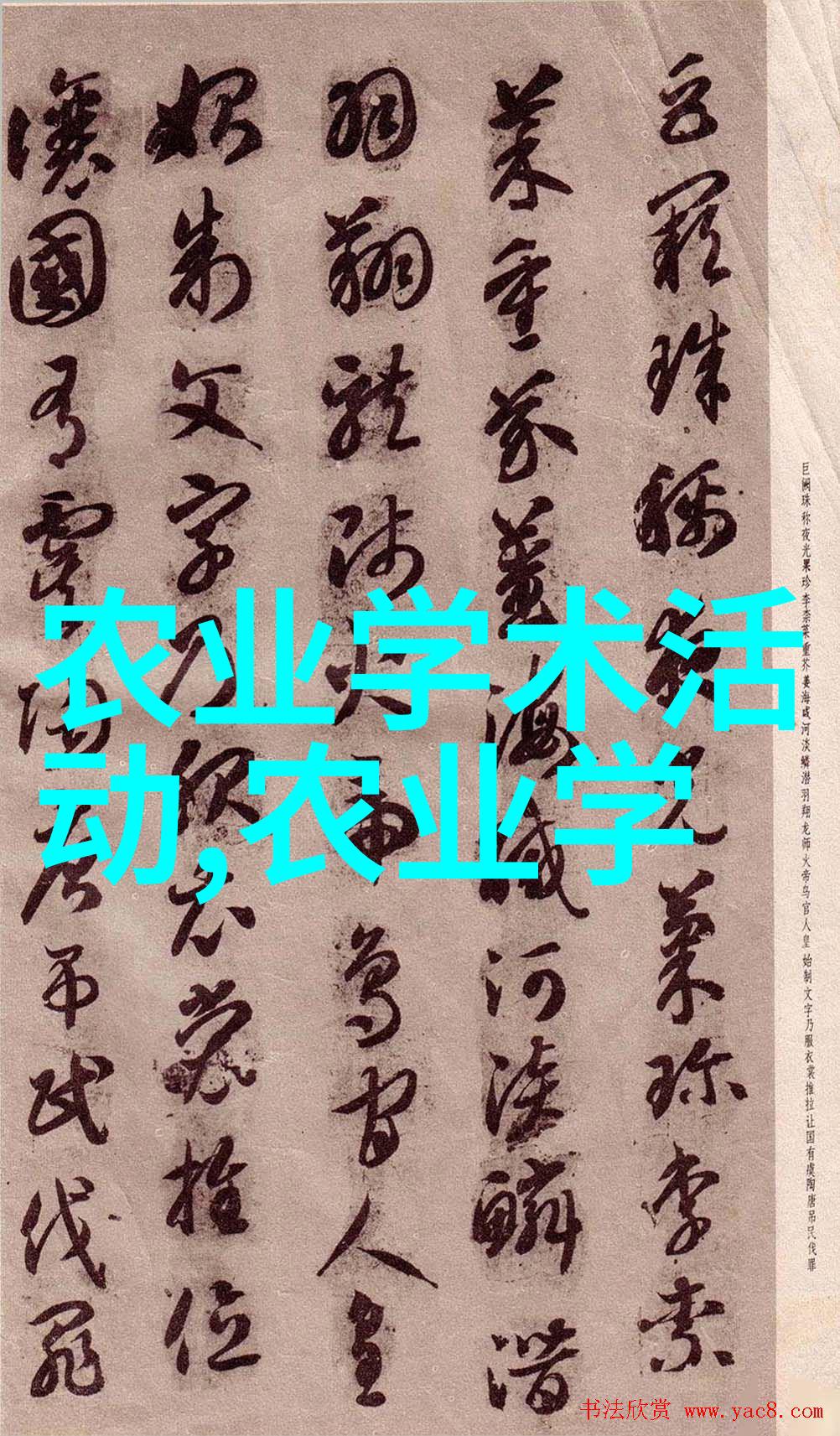广东中药材种植基地我在这里的故事从种子到珍品的奇遇