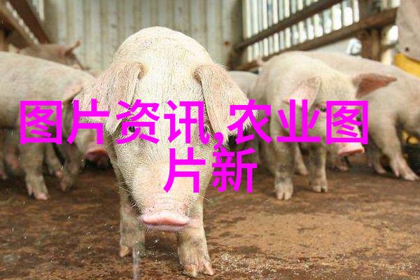 绿茵秘境探索地球上10种奇特之花