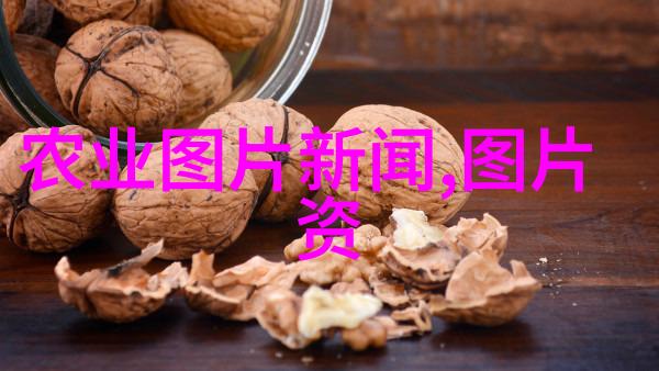 小型农场如何利用多功能农用挖掘机提升作物种植质量