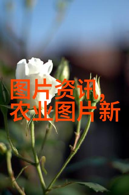 探秘古老洞窟sana的神秘与挑战