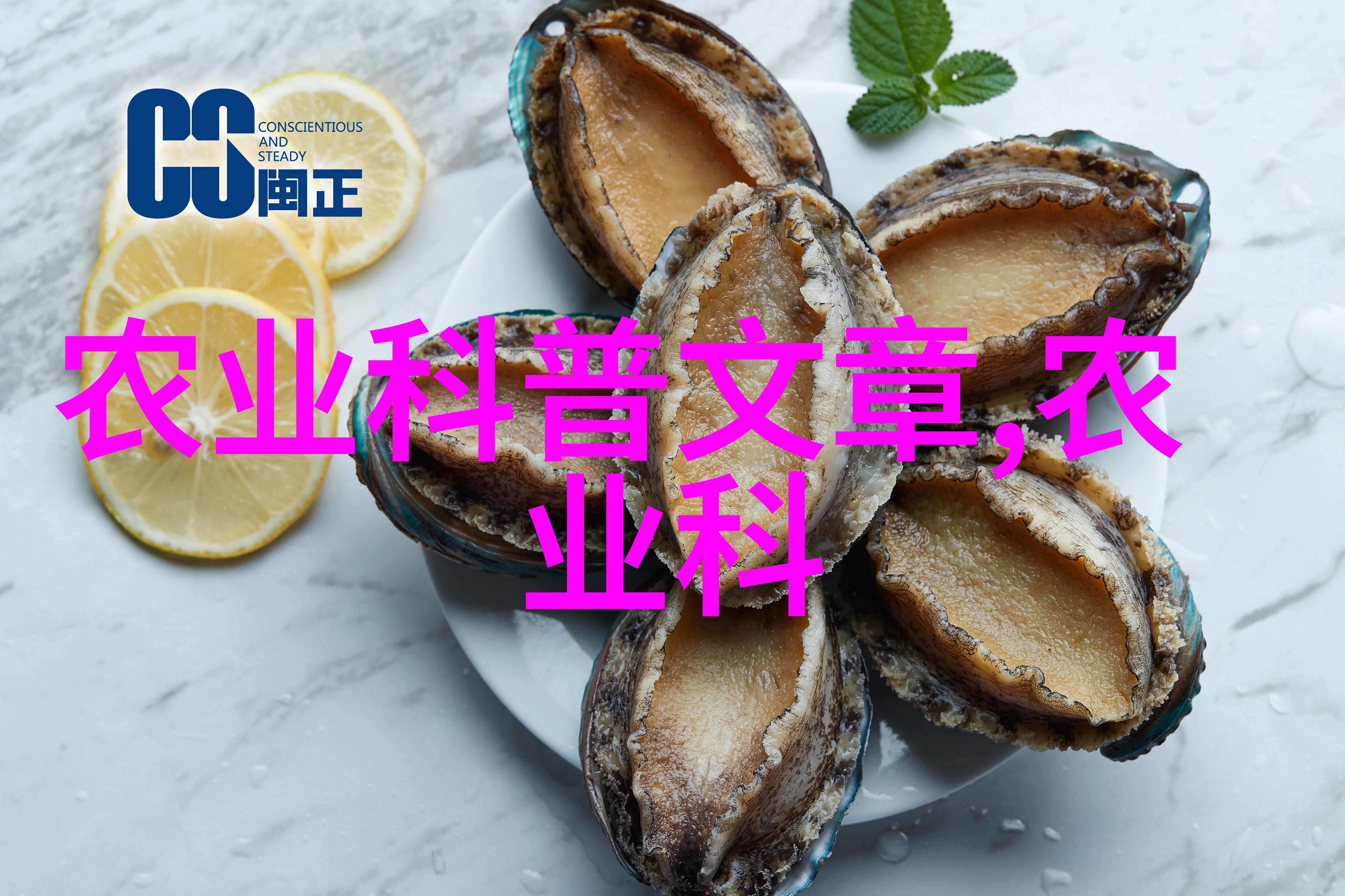 她见青山 全文阅读-清风徐来她在青山的故事
