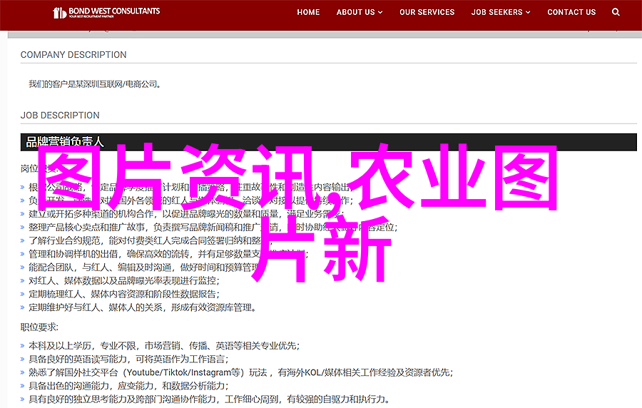 茶叶秘密中国茗茶网的神秘传说