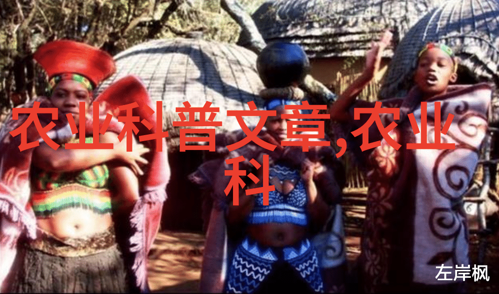 水果种子图片集丰富多彩的水果与其种子的美丽展示