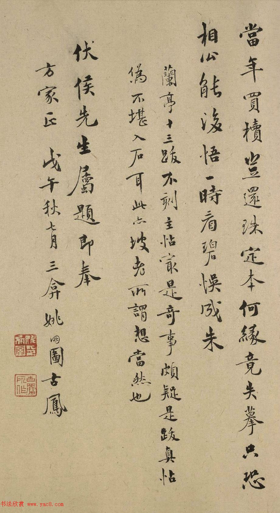 种植蔬菜的全过程从播种到收获的每一步骤