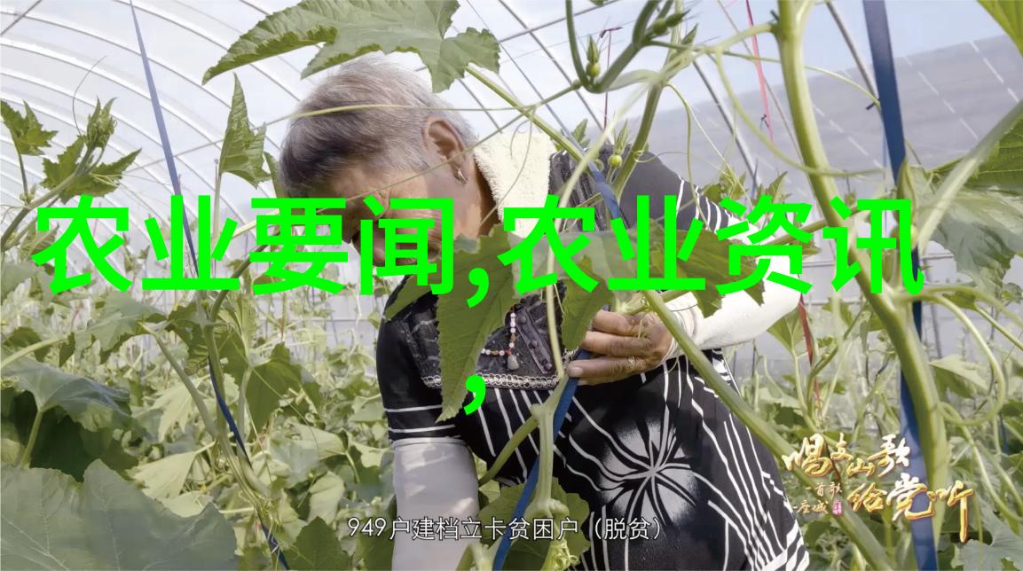 牧野之谜失传千年的牛神秘