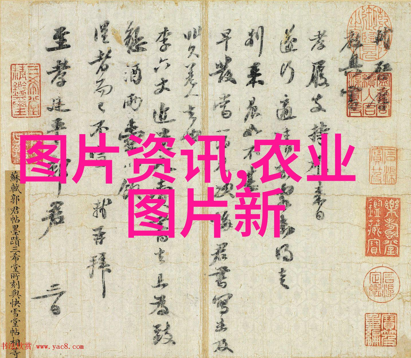 中药材价格一览表2022查询我来帮你找找看那些宝贵的草药怎么个价儿