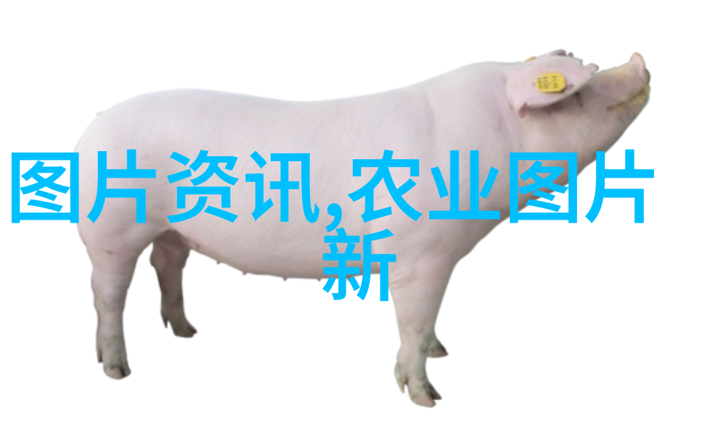 羊群管理养20只羊的经济效益分析