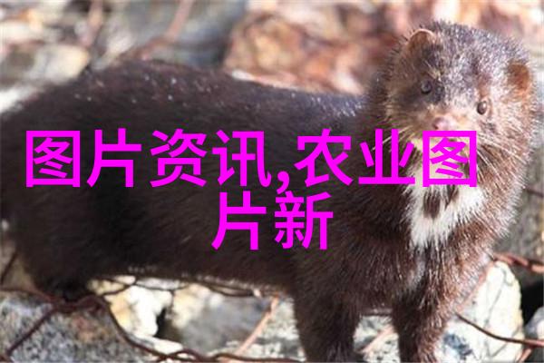 三国英雄谱权力的争夺与人性的展开