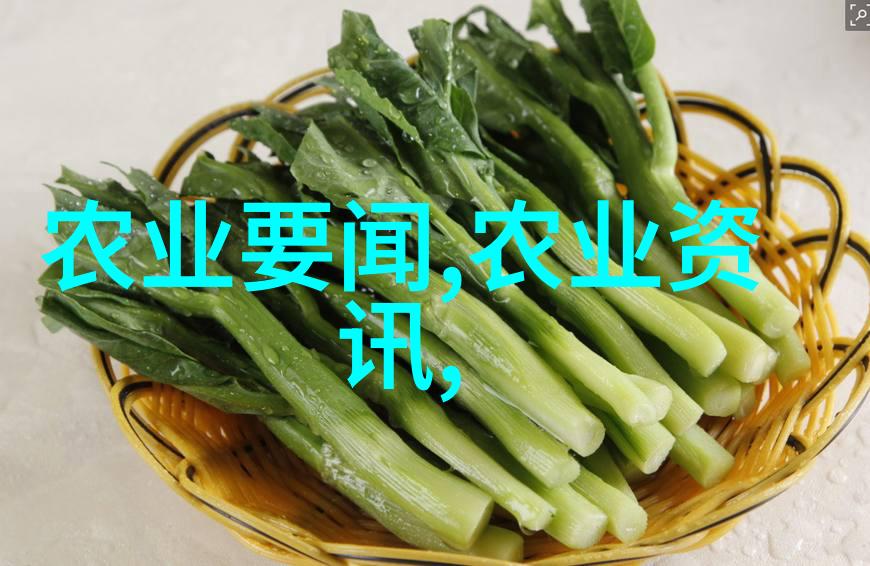 挖沟机的不凡之旅开创道路的先锋者