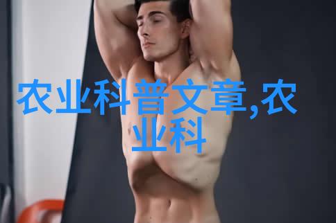 边做边爱追逐情感的无限可能