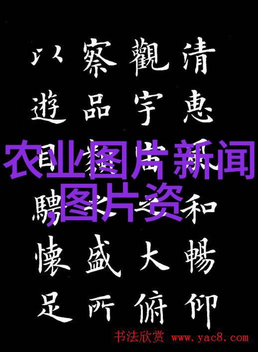 火山边缘的绿意盎然寻觅那颗珍贵的榕苗木