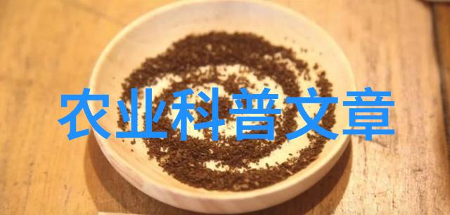 中国农业大学的学术会议和学术交流怎么样