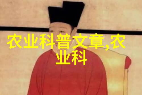 水旱两用耕田机我的农场新贵