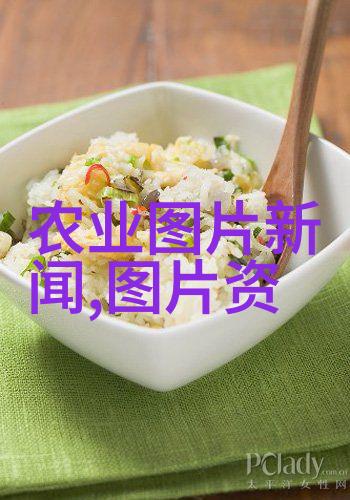 如何利用数据分析提升企业在全球市场中的竞争力以中藥市場為例調研於二零二二年