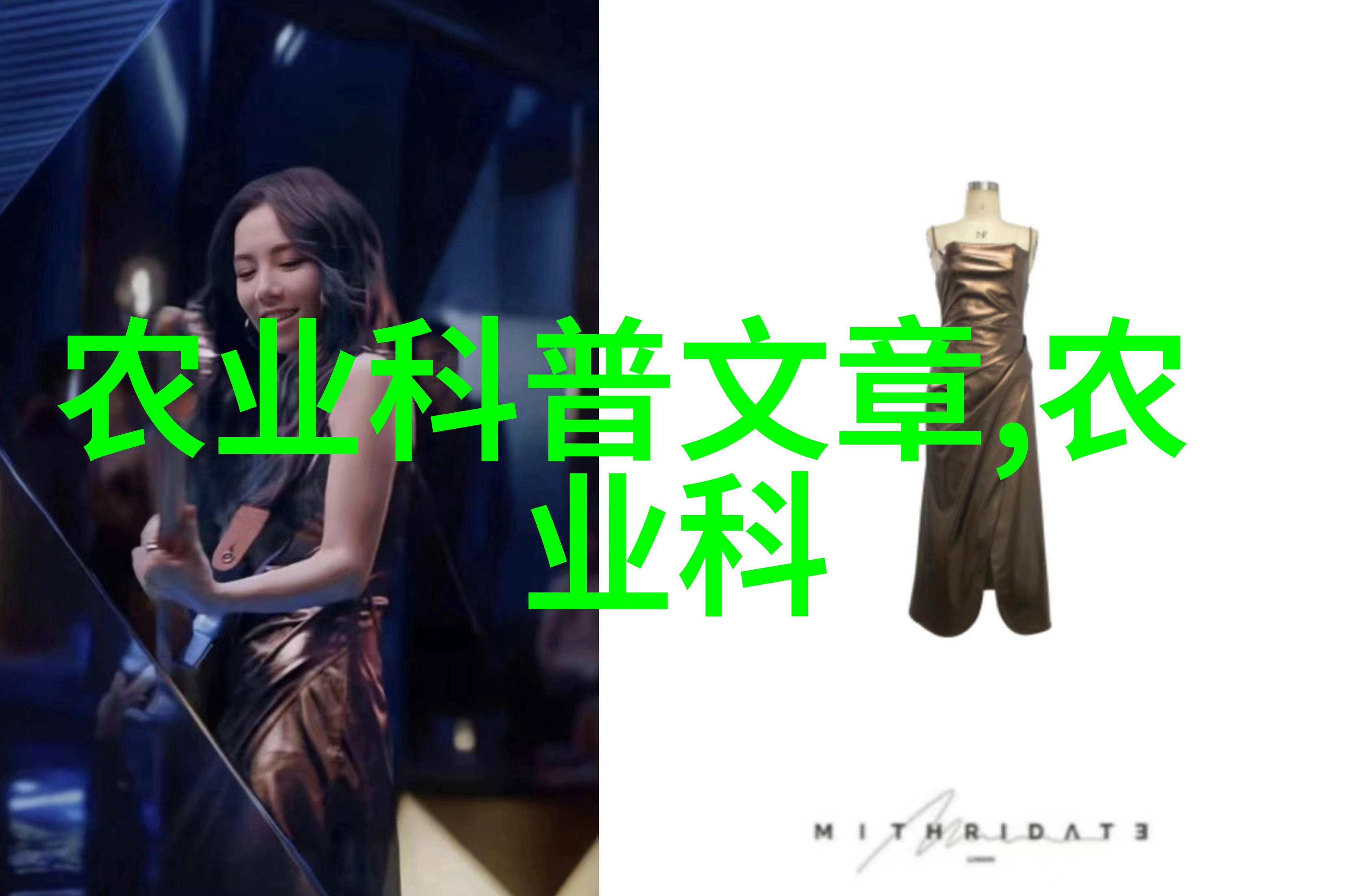 逆袭创富从零到英雄的未来趋势