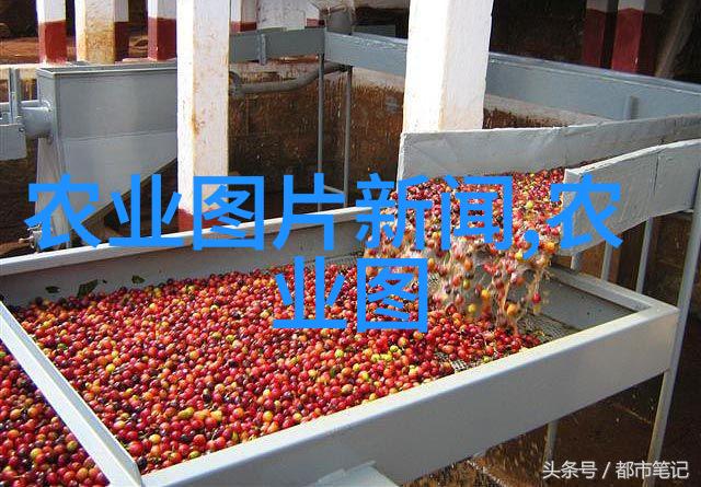 白色赠予无删减的免费阅读之旅