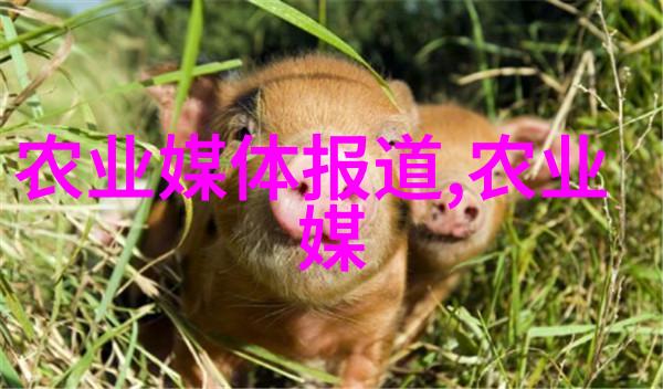 最旺宅的风水树真的能驱蚊吗