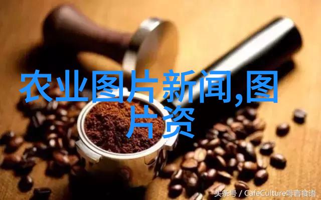 豌豆的故事种植收获与美味
