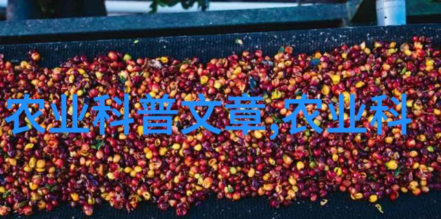 绽放之旅花卉种植的两大步骤