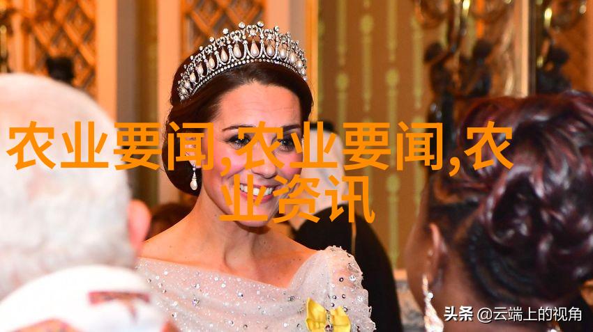 图3: 生物燃料发电器