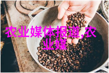 邻居寡妇4免费观看之旅