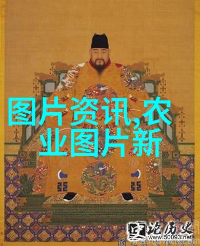苗木种植艺术从选苗到养护的全过程探究