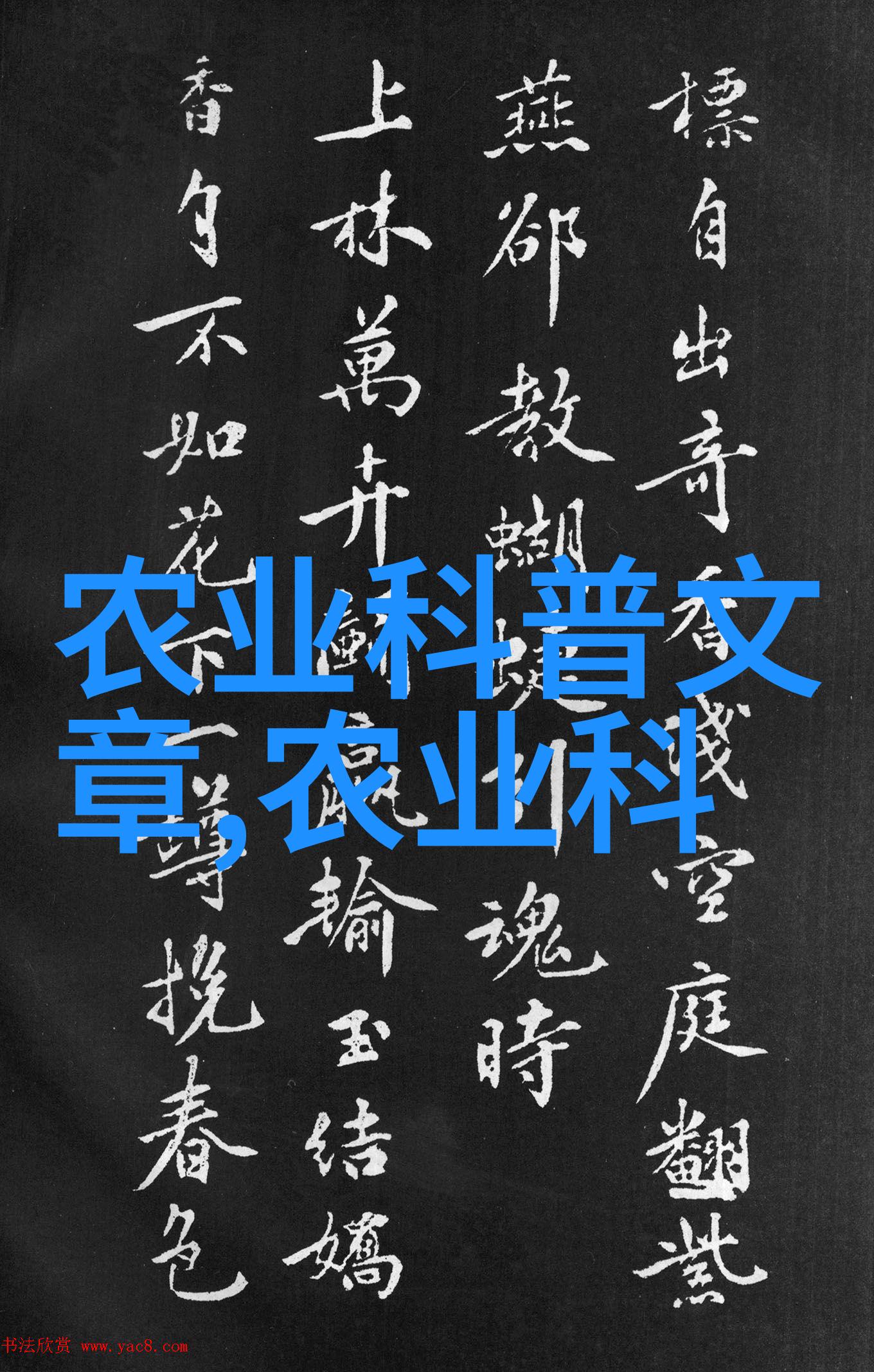 挖沟机铁甲巨兽的静谧劳作