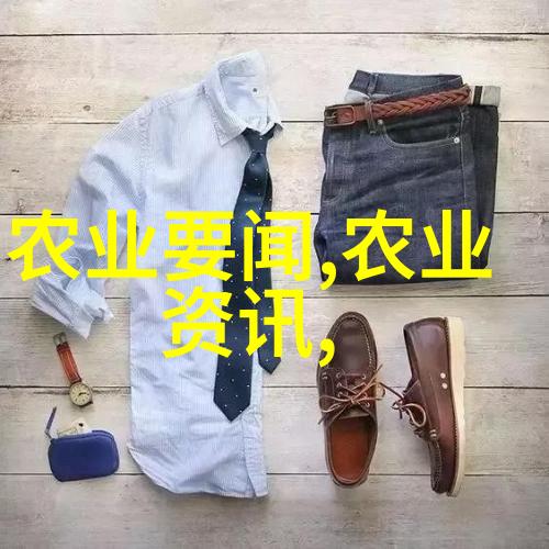 建二亩地大棚费用估算从土建到设备全方位解析
