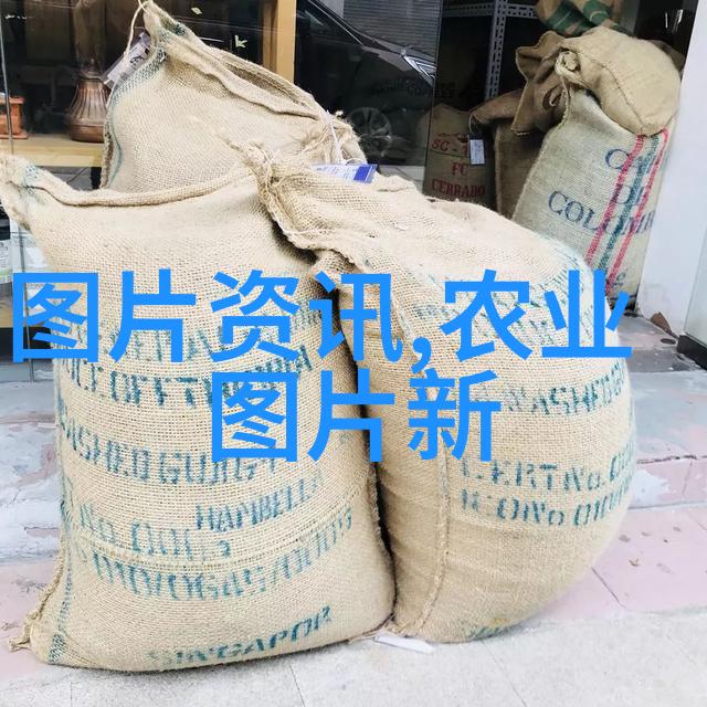 江南药材寻觅那些金贵之作