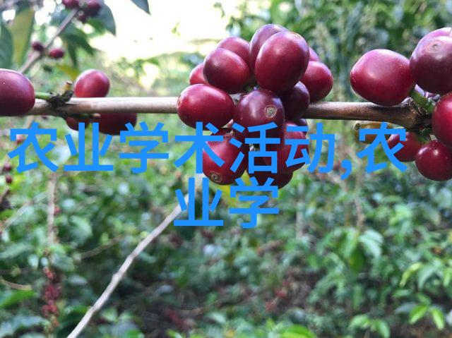 盆栽花卉造型大全大图精美园艺技巧展示