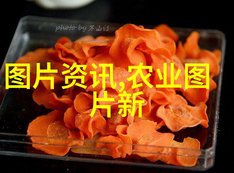 民法典的全面体系从合同法到物权法揭秘法律宝库中的每一个章节