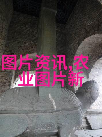 秘密花园里的金钱果实揭秘哪种水果能让你一夜暴富