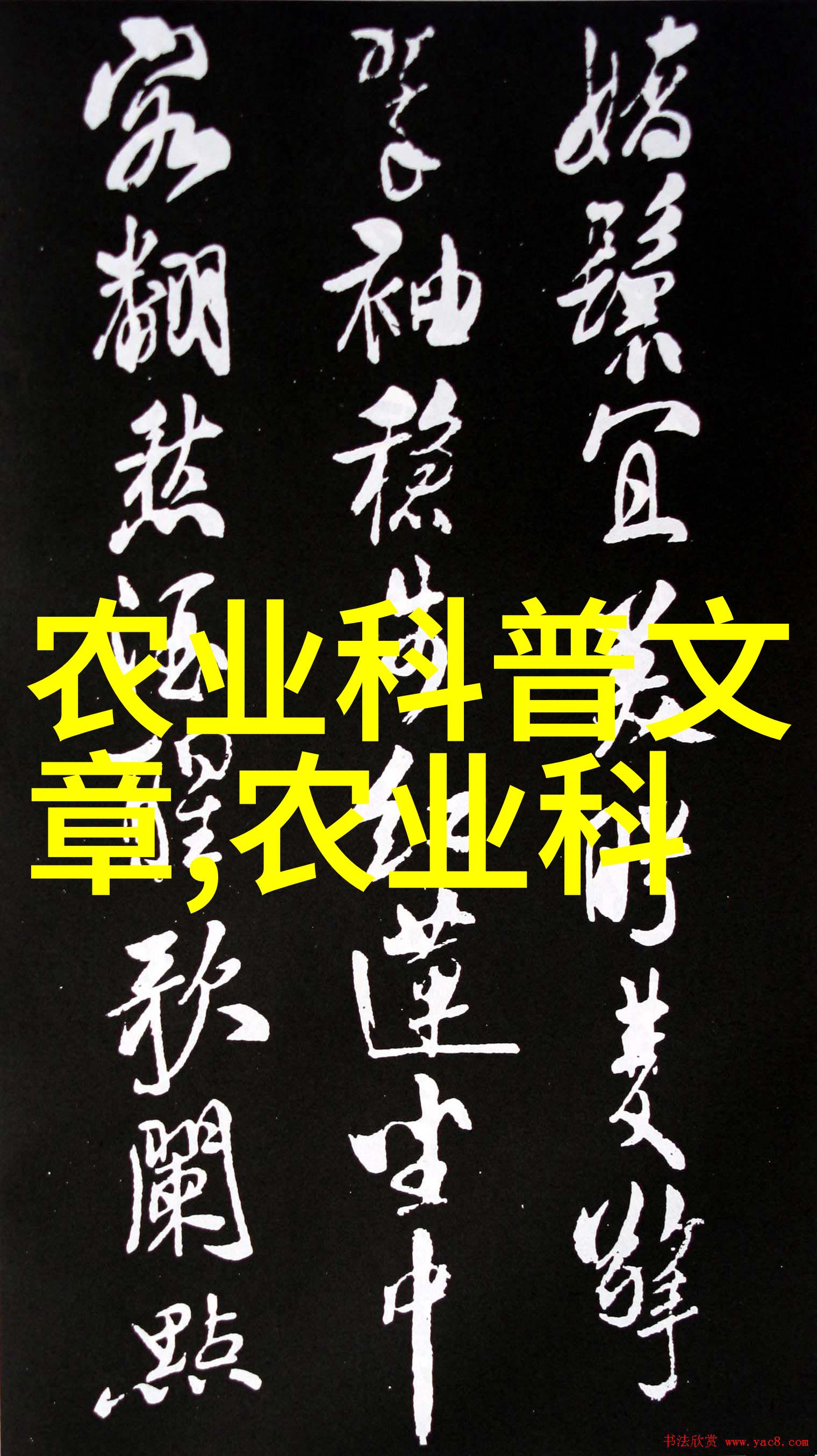 除了西瓜之外还有哪些热带与亚热带地区产出的特色水果值得我们尝试