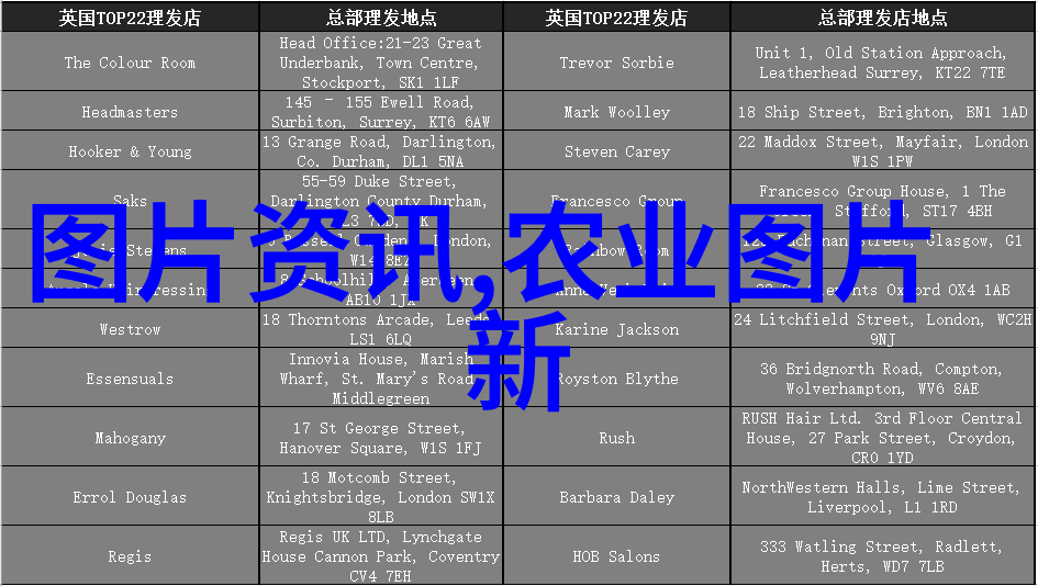 大棚蔬菜种植前景好高效节水的现代农业技术