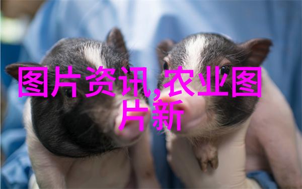 无需精心培育探索基本不用管理的果树种类及其优点