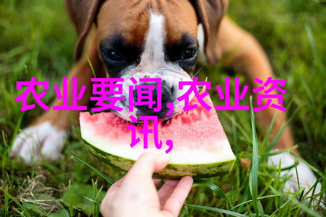 客厅最旺财的植物金钱草成长秘诀