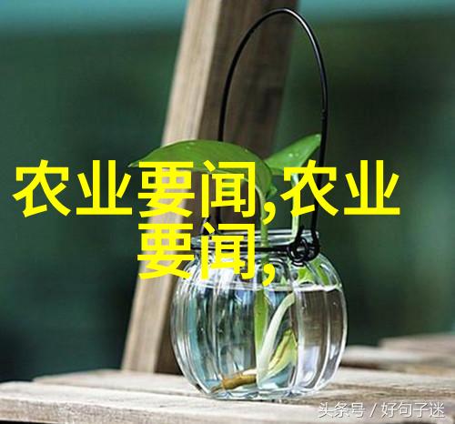 花卉种植名字大全-绽放的艺术探索千姿百态的花卉种植名