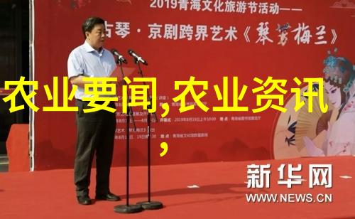 室内绿意盎然探秘那些喜阴的大型植物之选