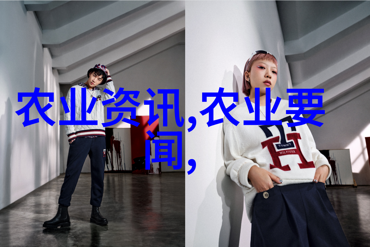 无土栽培一亩投资分析从种子到技术的全方位考量