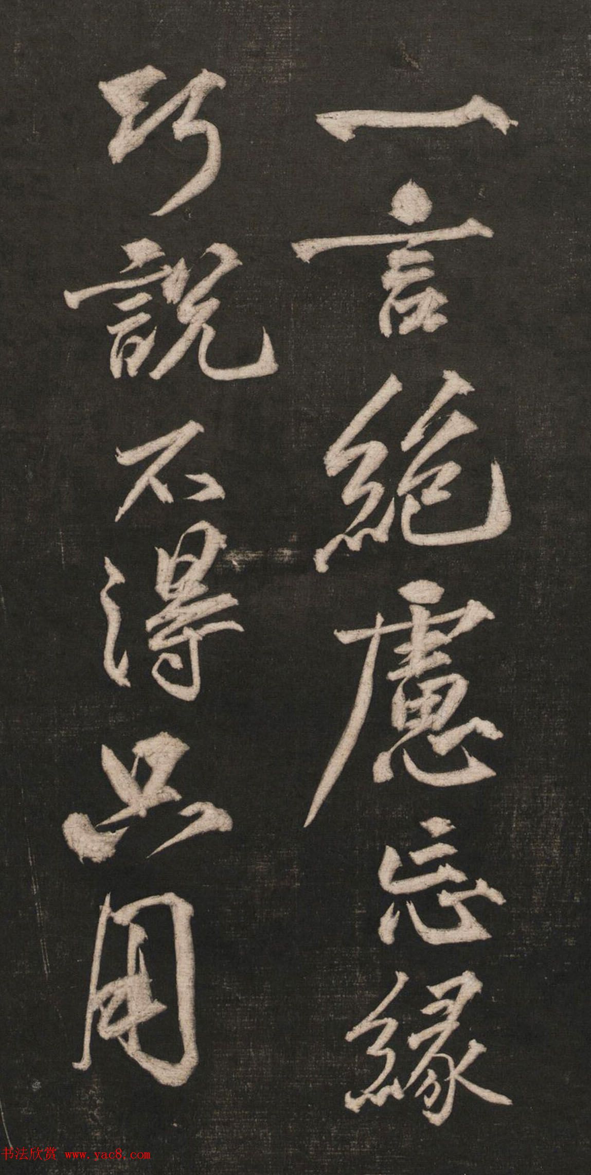 银杏树古老的银杏树