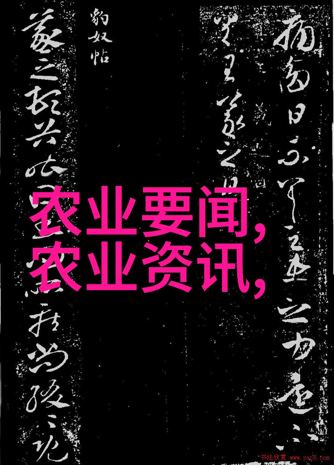 春日暖阳下的红茶享受