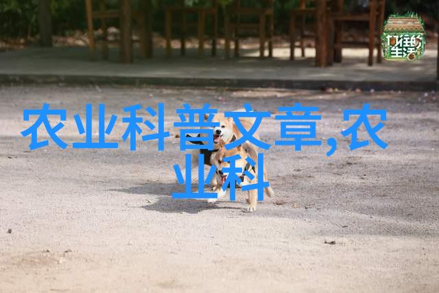 先进小型加工机械设备-精密制造新篇章高效智能小型化设备的兴起与应用