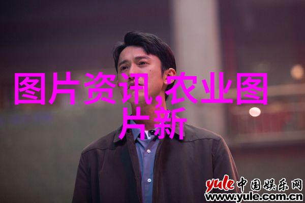 牛羊养殖场中的牧师和屠宰工从育肥到提供肉类服务链条