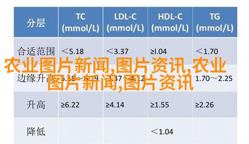 基因改良后的玉米