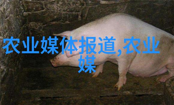 绿意盎然的家居秀场10种让你成为植物高手的旺财小王子