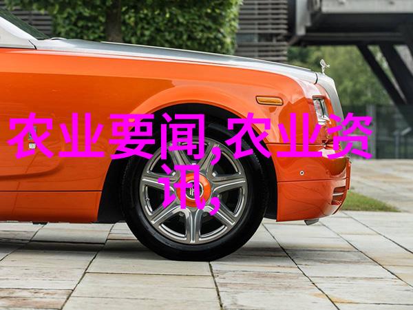家庭手工制作枣酱教程享受DIY乐趣