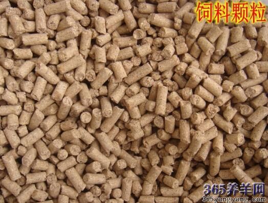 百倍回报走进那些仅用一点土地却每年都能挣钱不少的小伙伴们的世界