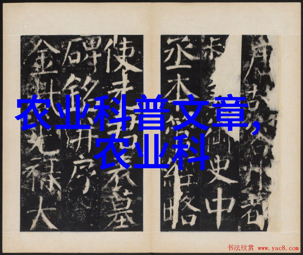 草莓梦幻与市场嚣张成都批发场的反差奇观