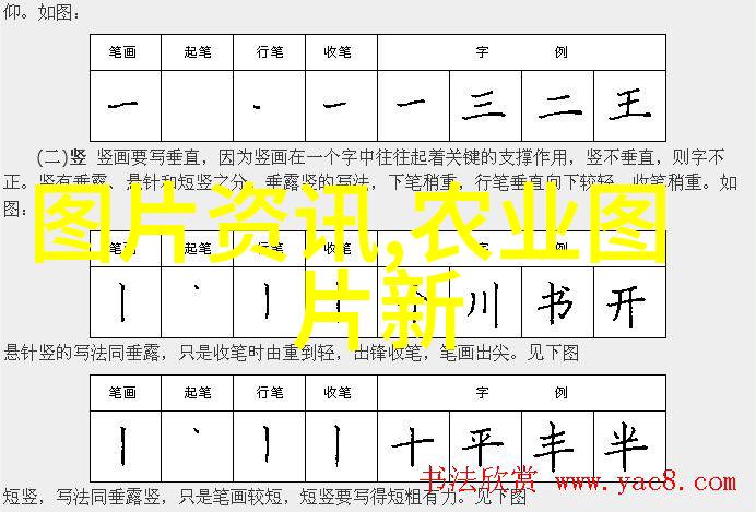 翱翔者之翼探索鸽子养殖的艺术与科学