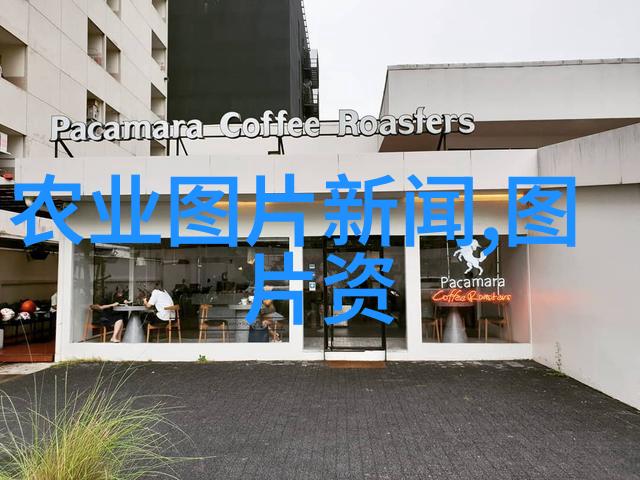 现在农村种植什么前景好兄弟们可以种些花生啊不仅吃得香还能赚点小钱